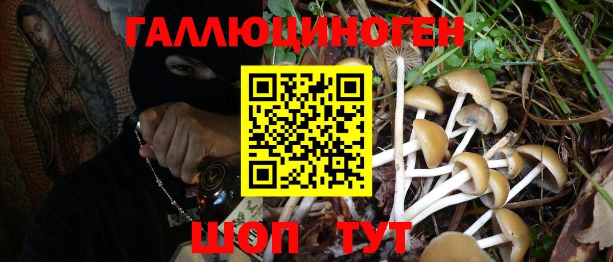 Псилоцибиновые грибы GOLDEN TEACHER Коряжма